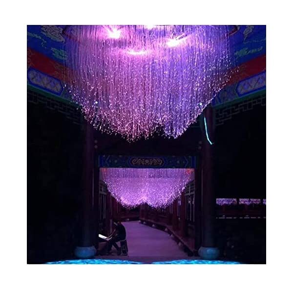 AZIMOM Plastic Fiber Optic Bundle Dia0.03in/0.75mm for Star Ceiling & Starlight Headliner Kits