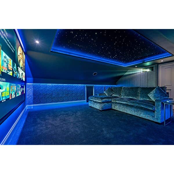 SANLI LED 10W Twinkle RGBW Fiber Optic Starry Ceiling Lights with Bluetooth APP/Remote Control Music Mode for Home Theater & Car Use