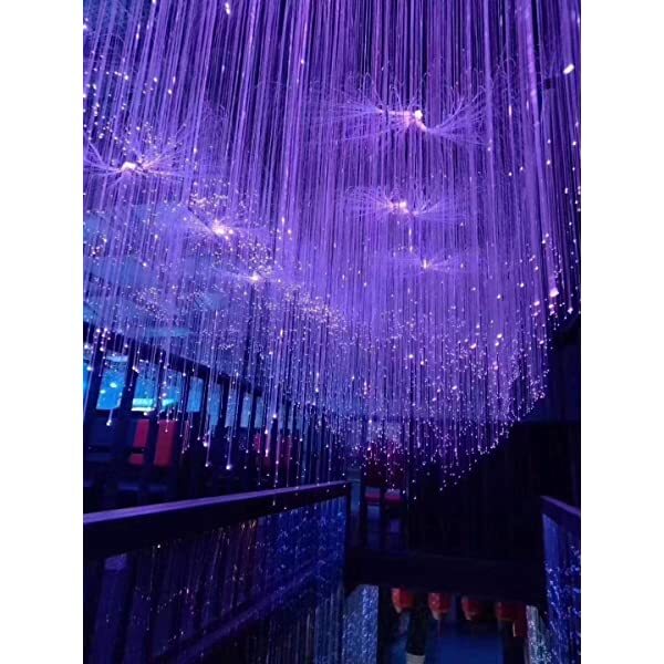 SANLI LED 6W RGB Fiber Optic Curtain Lights Bluetooth APP/Remote Control Music Mode with Twinkle Fiber Optic Bundle