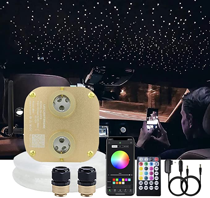 SANLI LED 2*10W Twinkle RGBW Fiber Optic Star Roof Car Bluetooth APP/Remote Control Music Mode with 700 pcs PMMA Fiber Optic Cable