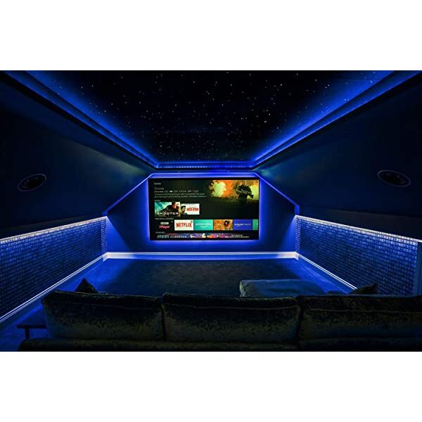 SANLI LED 16W Twinkle RGBW Fiber Optic Ceiling Lights with Bluetooth APP/Remote Control Sound Activated for Bedrooms & Theaters