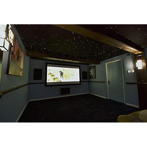 SANLI LED 10W Twinkle RGBW Fiber Optic Starry Ceiling Lights with Bluetooth APP/Remote Control Music Mode for Home Theater & Car Use