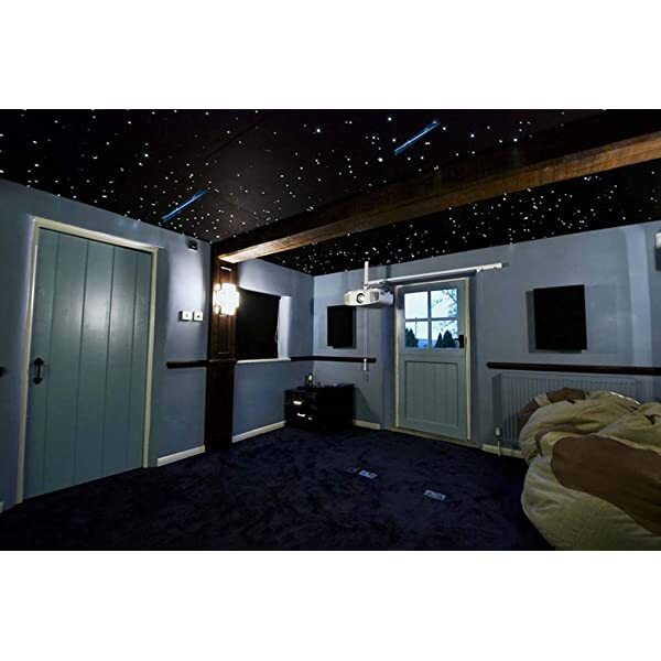 SANLI LED 10W Twinkle RGBW Fiber Optic Starry Ceiling Lights with Bluetooth APP/Remote Control Music Mode for Home Theater & Car Use