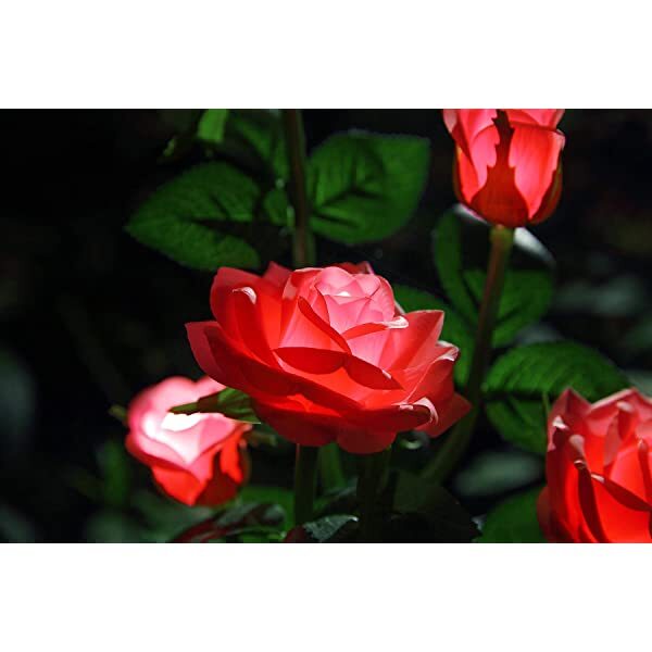 AZIMOM Red Solar Rose Lights Solar Powered Roses Solar Rose Flower Garden Lights for Yard 