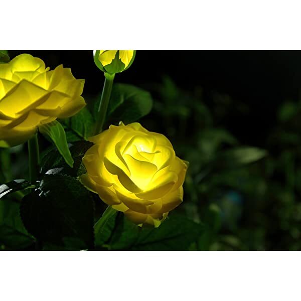 AZIMOM Solar Rose Lights Solar Powered Roses Solar Rose Flower Garden Lights for Yard Patio Pathway Lighting